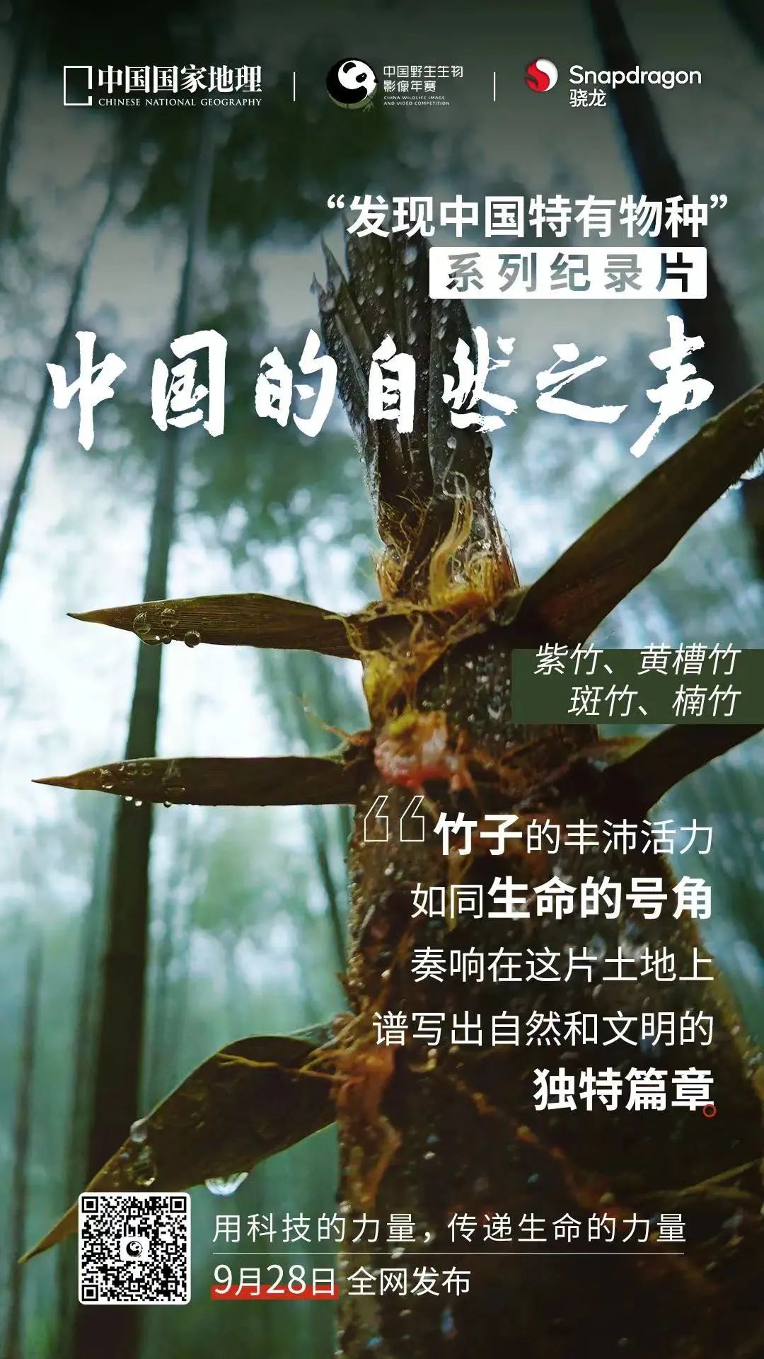自然之聲.jpeg 自然之聲.jpeg